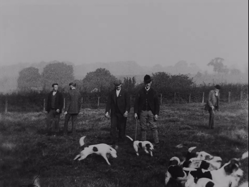 A pack of beagles are assembled for a hunt by their trainers and a huntsman