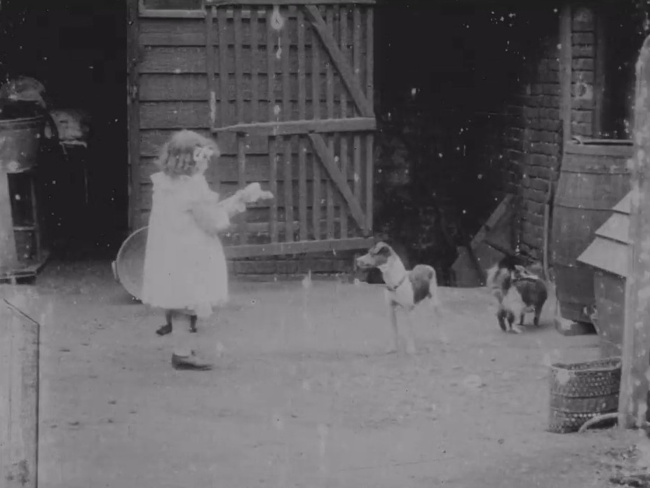 This Victorian girl is engrossed in her games, and no wonder, with a dog, two cats and a doll to play with